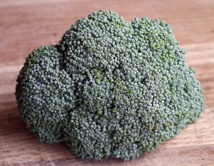broccoli-498605