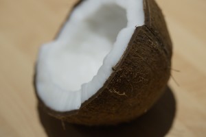 coconut-696541