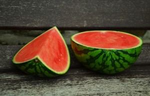 watermelon-815072